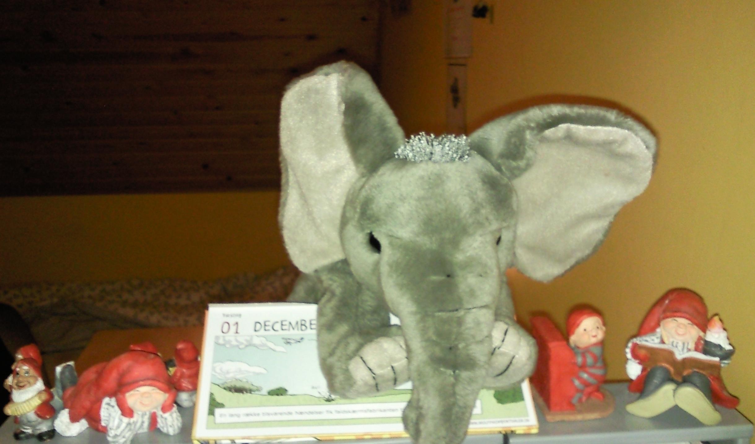 Jumbo en adopteret elefant