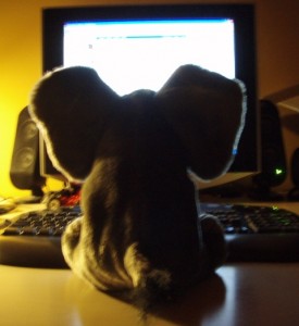 p2183999 Elefant nyt