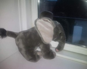 Den lille elefant